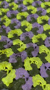 Black African Cord Guipure Lace Fabric 2026 French Asoebi Chantilly Water Soluble Lace Fabric High Quality For Party Dress M95-1
