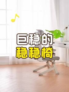 XIGE | Ergonomic Adjustable Comfortable Lumbar Support Office Chair