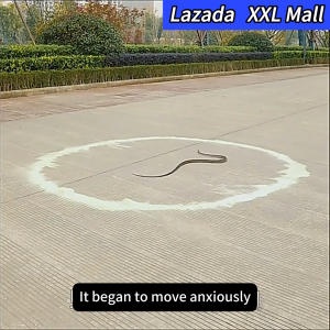 🐍Snakes? Gone!🐍Snake Repellent Powder 510g Snake Repellent for outdoors