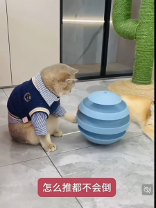 Feline Toy Balls - Playful Entertainment for Cat - Gift for Your Pet Family - Exercise your pet self-Hi tumble spinning