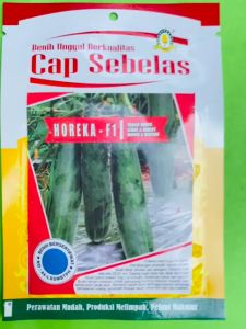 Benih Timun HOREKA-F1 isi 20gr dr Cap Sebelas F