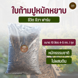 ใบก้ามปูหมักหยาบ 10 ลิตร หมักใต้ต้น ไม่มีดินผสม ไนโตรเจนสูง