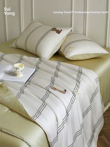 shui yang | Antibacterial Ice Silk Cool Quilt Four Piece Set