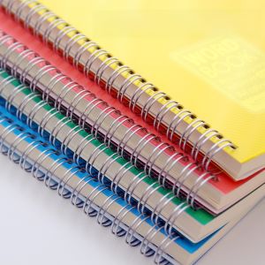 Large Color Coil Notebook