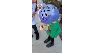 COD Mainan Prank Kotak Laba-Laba DZQ QW089 Mainan Anak Lucu Spider Box Prank Funny