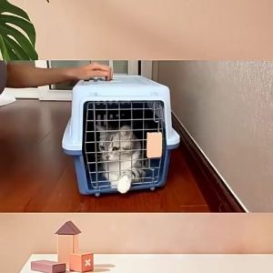 BOB PET Pet Carrier Travel Cage Cat Dog carrier Cat Carrier Dog Air Case Crates Airline Approved Pet Cage