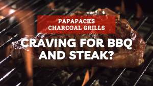 DEKES Charcoal Grill Portable Griller 17 inches Outdoor Camping BBQ with Stand Outdoor Barbecue