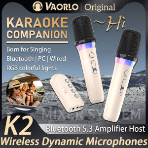 DS-K2 Karaoke Companion Bluetooth 5.3 Wireless Dynamic Microphones RGB Colorful Light Stereo DSP Mixer System For Wired Speaker