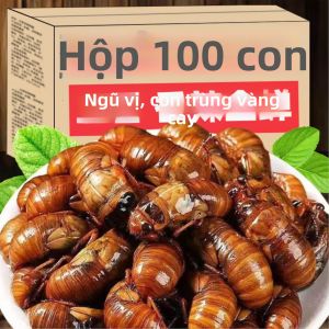 Fresh Ready-to-eat Spicy Cicada