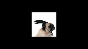Pet Dog Wig Funny Costume Headgear Messy Curly Hair Dog Wig