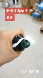 Móc khóa rùa thụt đầu siêu ngộ nghĩnh dùng trang trí mới nhất 2025