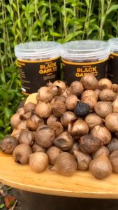Black Garlic Tunggal Manika 250g Bawang Hitam Lanang Kualitas Pilihan