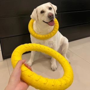 Petone dOrage | Teeth Grinding Resistant Toy for Large Dogs