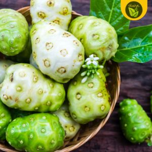 10 seeds for planting binhi pantanim Morinda citrifolia Indian mulberry noni fruit beach mulberry cheese fruit