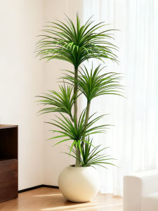 Highly Realistic Decorative Green Plant For Indoor Use