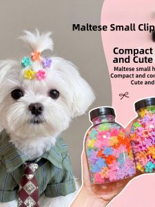 WAMEN | Pet Friendly Flower Decorative Dog Clips