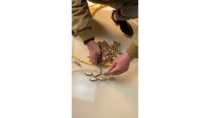 ข้อต่อสายพ่นยาแบบไม่ต้องย้ำ เครื่องพ่นยาและสารเคมี  ข้อต่อท่อวัสดุทองเหลือง ทดทานเหมาะใช้เพิ่มความยาวในการใช้งาน