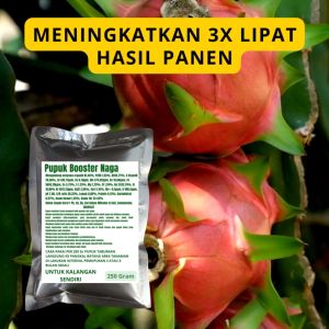 Pupuk Booster Naga / Obat Booster Buah Naga / Pupuk Booster Buah Naga / Pupuk Buah Naga
