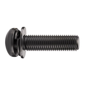 Yi Se Dian Zi | Black 304 Stainless Steel Combination Screws