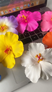 Jepit Rambut Bunga Kembang Sepatu Hiasan Kepala Gadis Aksesoris Rambut Jepitan Rambut Plumeria Hawaii Bunga Hibiscus Hairpin Jewelry Summer Beach HHG