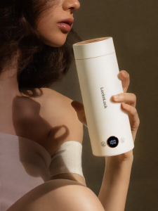 LocknLock | Portable Thermal Electric Kettle