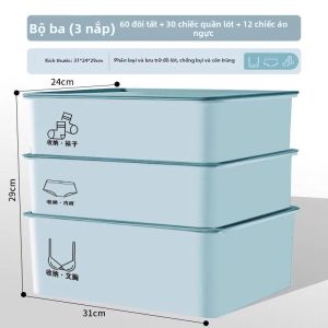 NAIFUNA | Tổ Chức Đồ Lót 3-trong-1