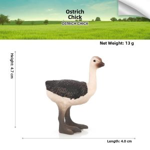 Solid Animal Model African Ostrich Emu Walking Bird Realistic Childrens Toy Educational Gift Display Item for Kids