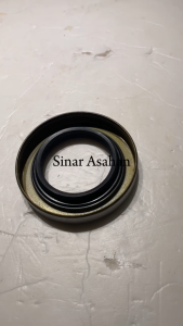 Oil  Seal Pion PS100 MITOYO MH034189