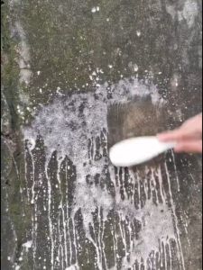 1kg Bột Tẩy Rong Rêu Sàn Xi Măng Vách Tường Sân Nhà. Khử Trùng Nhà Cửa Nhà Vệ Sinh Cống Rãnh.