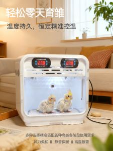 Parrot Chick Incubator Smart Warmth over Winter Baby Bird Constant Temperature Insulation Box Fledging Incubator Little Sun