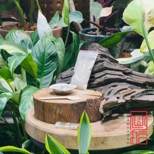 Combo Bột Trầm Hương Xông Nhà