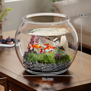 WUBUWEI | Bể Cá Acrylic Giống Kính Chống Vỡ Nhỏ cho Phòng Khách
