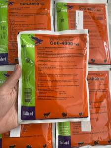 Coli 4800 (gói 100g) nhập khẩu Hà Lan xử lý tiêu chảy cho vật nuôi