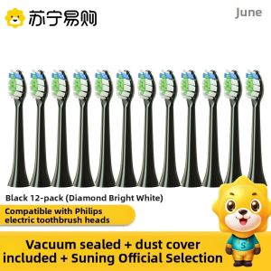 Philips Diamond 7 Series Electric Toothbrush Head Replacement Head L3116 Adult Gum Care Normal Specification