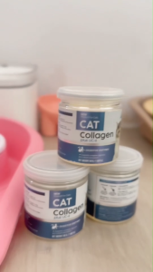 #ส่งฟรี Lisa Cat Collagen บำรุงขนสวย #ผงโรยอาหารแมว #ลดขนร่วง มีสวนผสมจากผงไข่เต่า วิตามินบีรวม คอลลาเจน แบบทดลอง 20กรัม