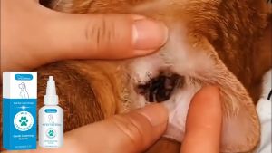 Yegbong Cat Dog Mites Odor Removal Ear Drops Infection Solution Treatment Cleaner 60ml