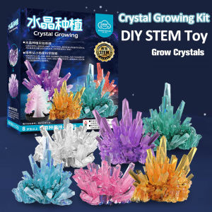 National Geographic Mega Crystal Growing Kit Grow 2 Crystals  Science Gifts For Kids 8-12 Educational DIY Kit Toy