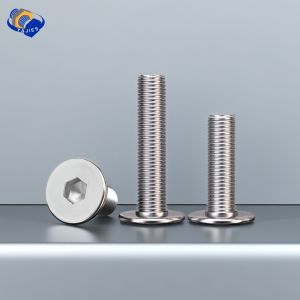 CM SS M3 M4 M5 M6 Low Profile Stainless Steel Hex Hexagon Socket Ultra Thin Flat Wafer Allen Head Bolt Screw 304 A2-70 18-8