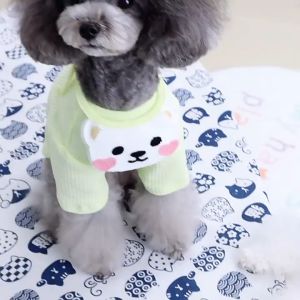 áo gân - áo thu đông 2026 kèm yếm gấu xinh dành cho chó mèo - T3 PETS SHOP