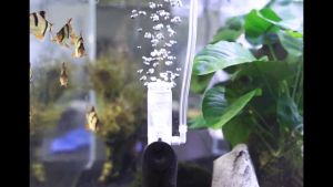 HappyDeal Marine Blue Small Mini Filter #Aquarium