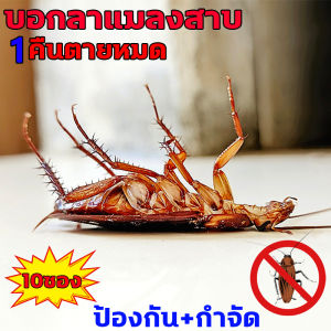 ยาฆ่าแมลงสาบ ส่งในไทย 1-3วันไดัรับของ 1คืนตายหมด กำจัดแมลงสาบ ได้ผล 100% ความจุใหญ่ 10ซอง (50g) สูตรปลอดภัย ยากำจัดแมลงสาบ ป้องกัน กำจัด ล่อแมลงสาบ ไม่เป็นอันตรายต่อคนและสัตว์เลี้ยง กับดักแมลงสาบ