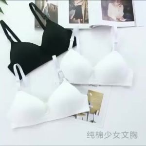 PROMO BELI 12 PCS 6 PCS Bra Wanita Dewasa Terbaru/ Bra Wanita Dewasa 6 Pcs Murah / Bra Wanita Dewasa tanpa Busa / Sport Bra Bh Dewasa