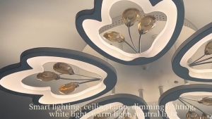 Đèn Ốp Trần Đèn Trần Trang Trí Phòng Khách Phòng Ngủ Trần Thạch Cao 3 Chế Độ Sáng Có Kèm Điều Khiển Từ Xa - Bảo Hành 2 Năm
