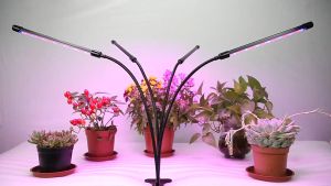 Retail and wholesale Led Full Spectrum Imitation Sunlight Plant Growth Light Vegetable And Flower Indoor Supplementary Light