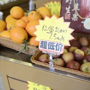 Jepitan Label Harga Penjepit Label Papan Transparan / Untuk Rak-Rak Toko Swalayan