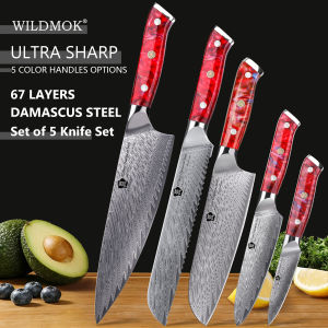 WILDMOK 5 PCS Forged Damascus Steel Kitchen Knife Set Professional Resin Handle with Premium Gift Box