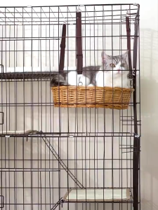 Cat Cage 2/3/4 Layers With Wheels Big Pet Cage For Cat Villa Large Cat Cage With Litter Box