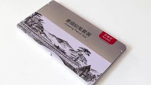 Nyoni Sketch drawing pencil / pensil grafit charcoal arang 29 pcs set tin case