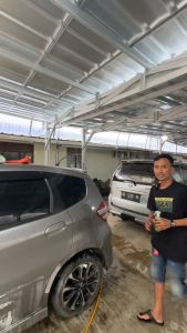 Efek Daun Talas Mobil: Cara Mengaplikasikan dan Merawat