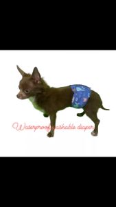 Pet Washable waterproof belly band male dog diaper assorted prints reusable diaper